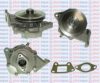 AQUAPLUS 85-3095 Water Pump